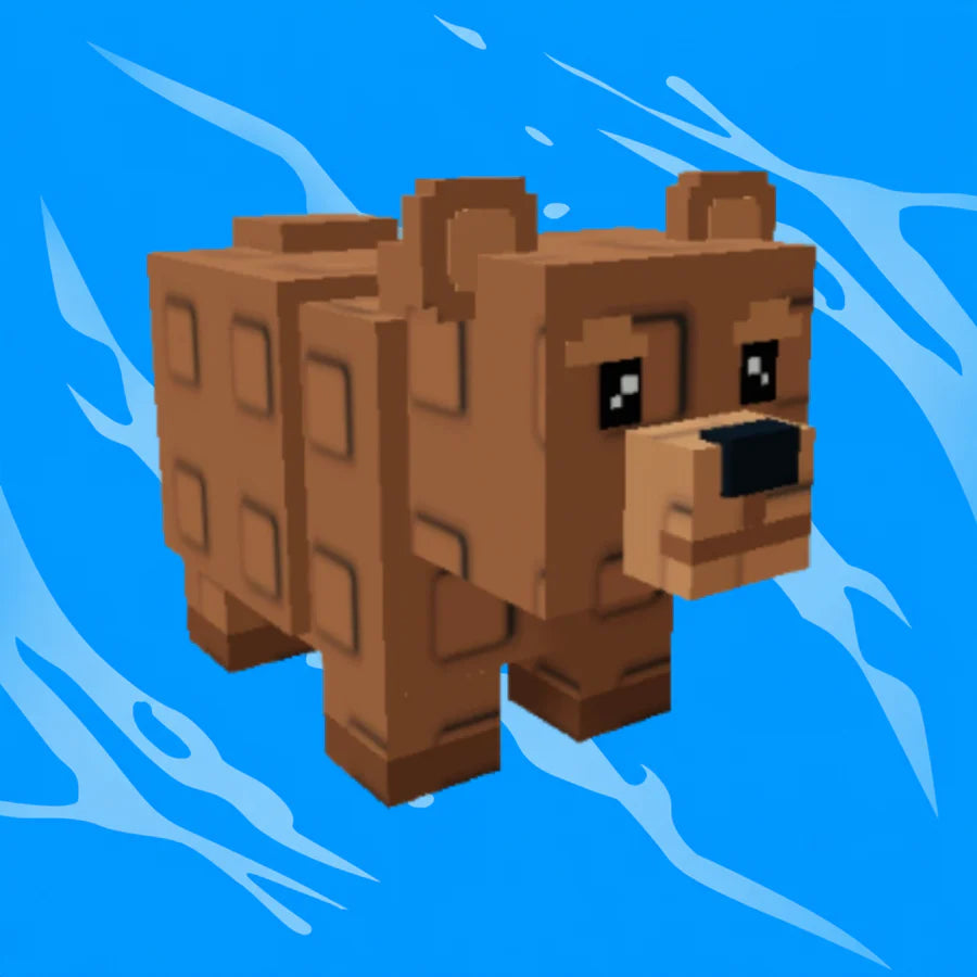 Bear (NEW π₯)